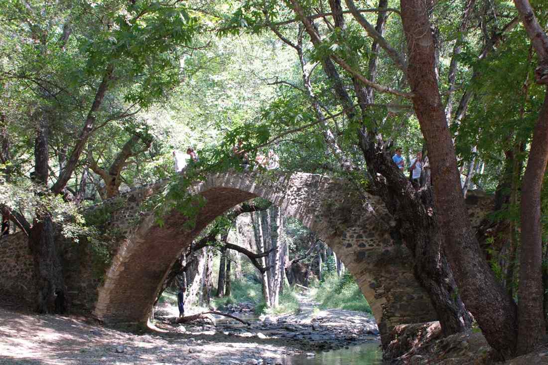 A stone Venetian bridge with a single high arch over a shaded riverbed under tall plane trees
