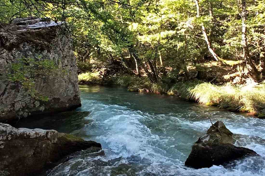 The Lousios river rushing between rocks under green plane trees in the gorge