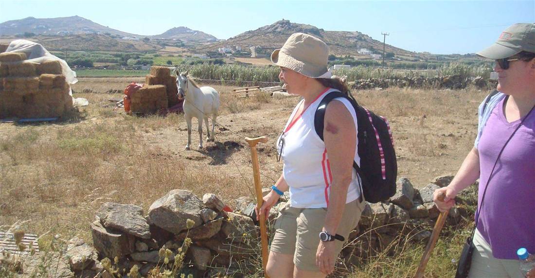 Hikers passing a white horse and dry-stone walls on a farm path in rural Mykonos.