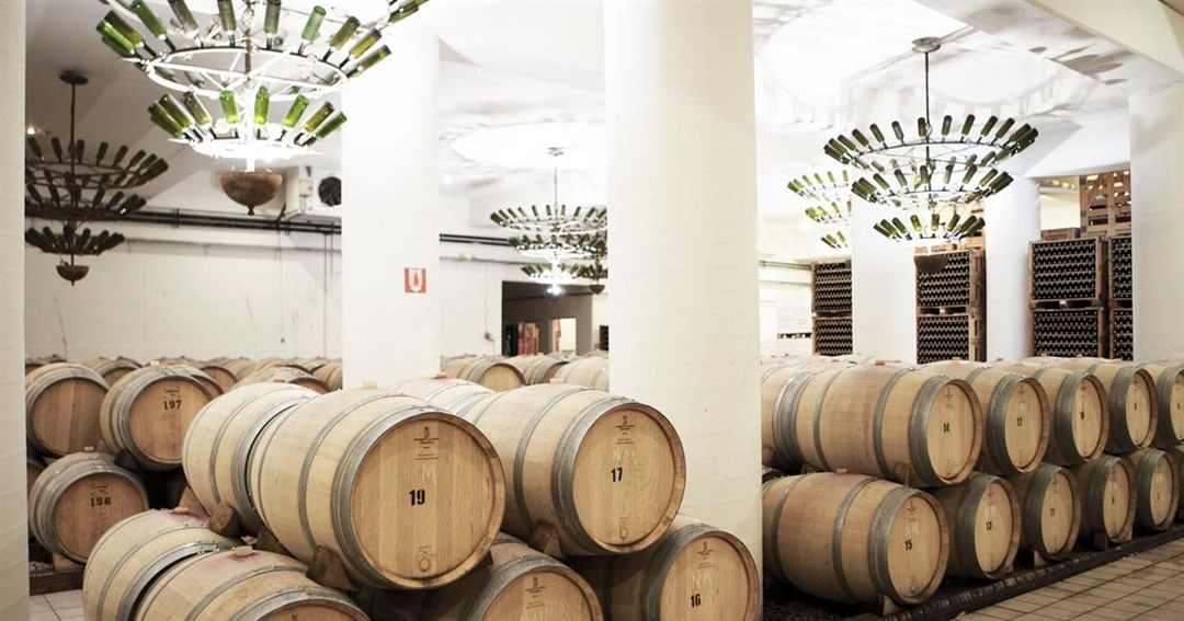 Rows of oak barrels in a stone wine cellar lit by hanging lamps.