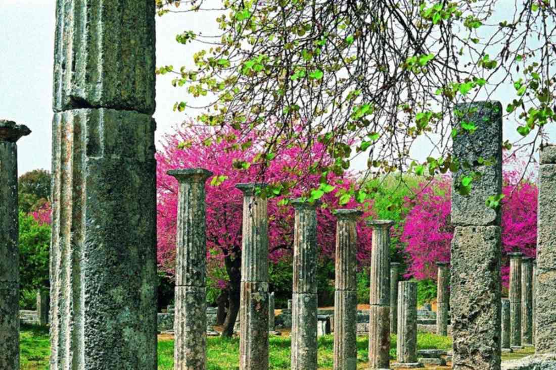 Rows of ancient stone columns among green grass and pink blossoming trees at Ancient Olympia, seen on an Olympia day trip from Kalamata.