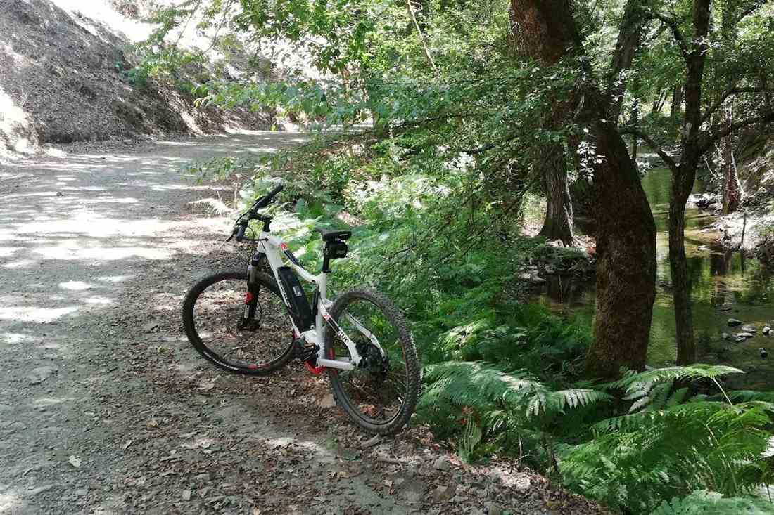 White e-mountain bike parked on a gravel forest track beside a stream and ferns