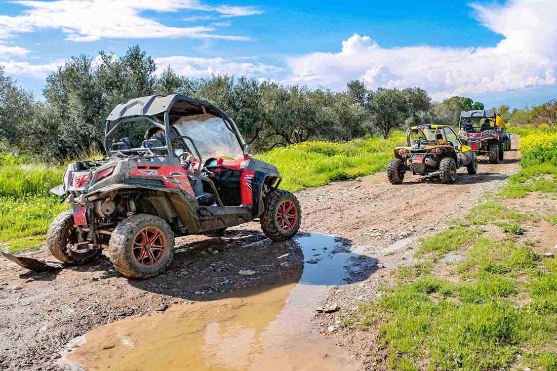 A red buggy stopped on a muddy dirt track beside olive trees, with two more buggies on the track behind it