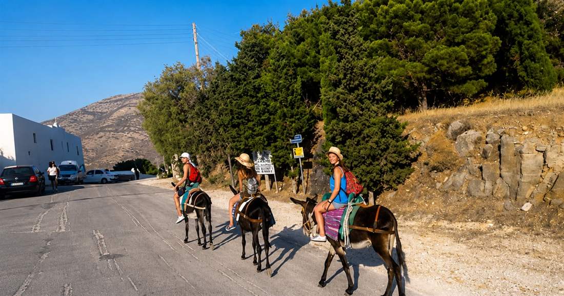 Riders on donkeys in single file along a roadside near Parikia, with trees and hills behind, on a Paros donkey ride.