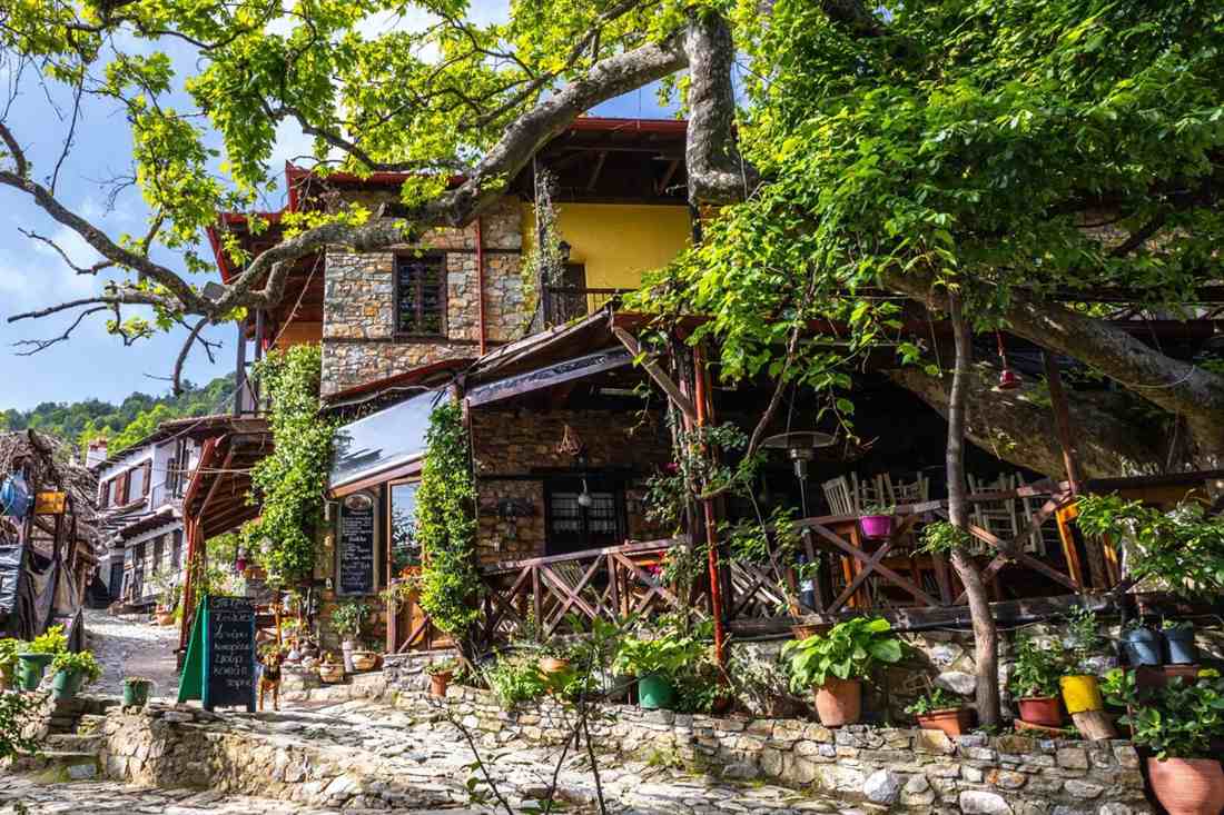 Stone taverna with a wooden terrace and flower pots under a large tree beside a cobbled village lane