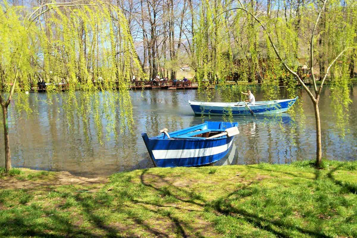 Pogradec tours reach the Drilon springs, with boats among the willows