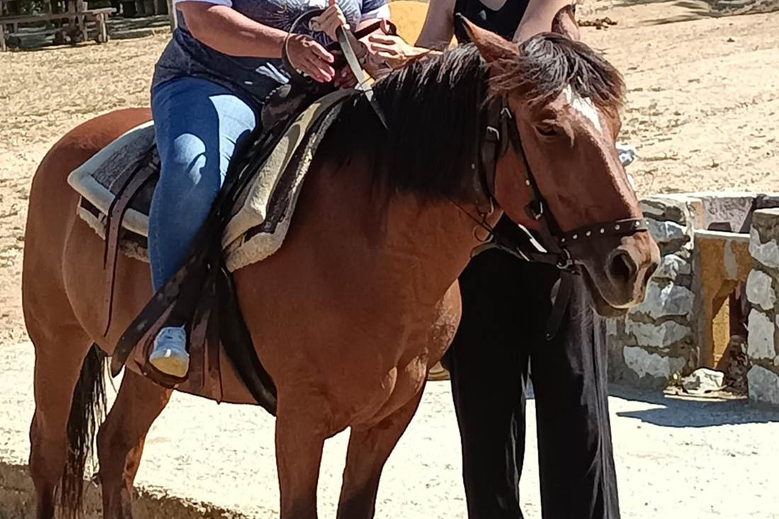 A rider on a brown horse led by a guide in a sandy farm yard outside the city, on Thessaloniki horse riding.